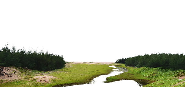 Restoration Across Urban and Rural Landscaping