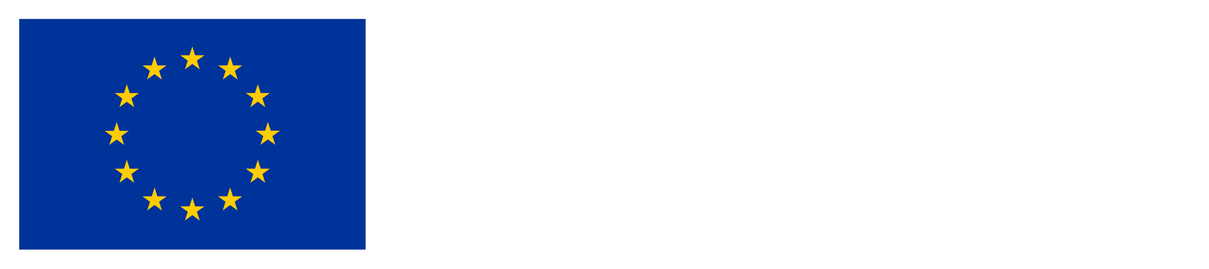 EU Logo