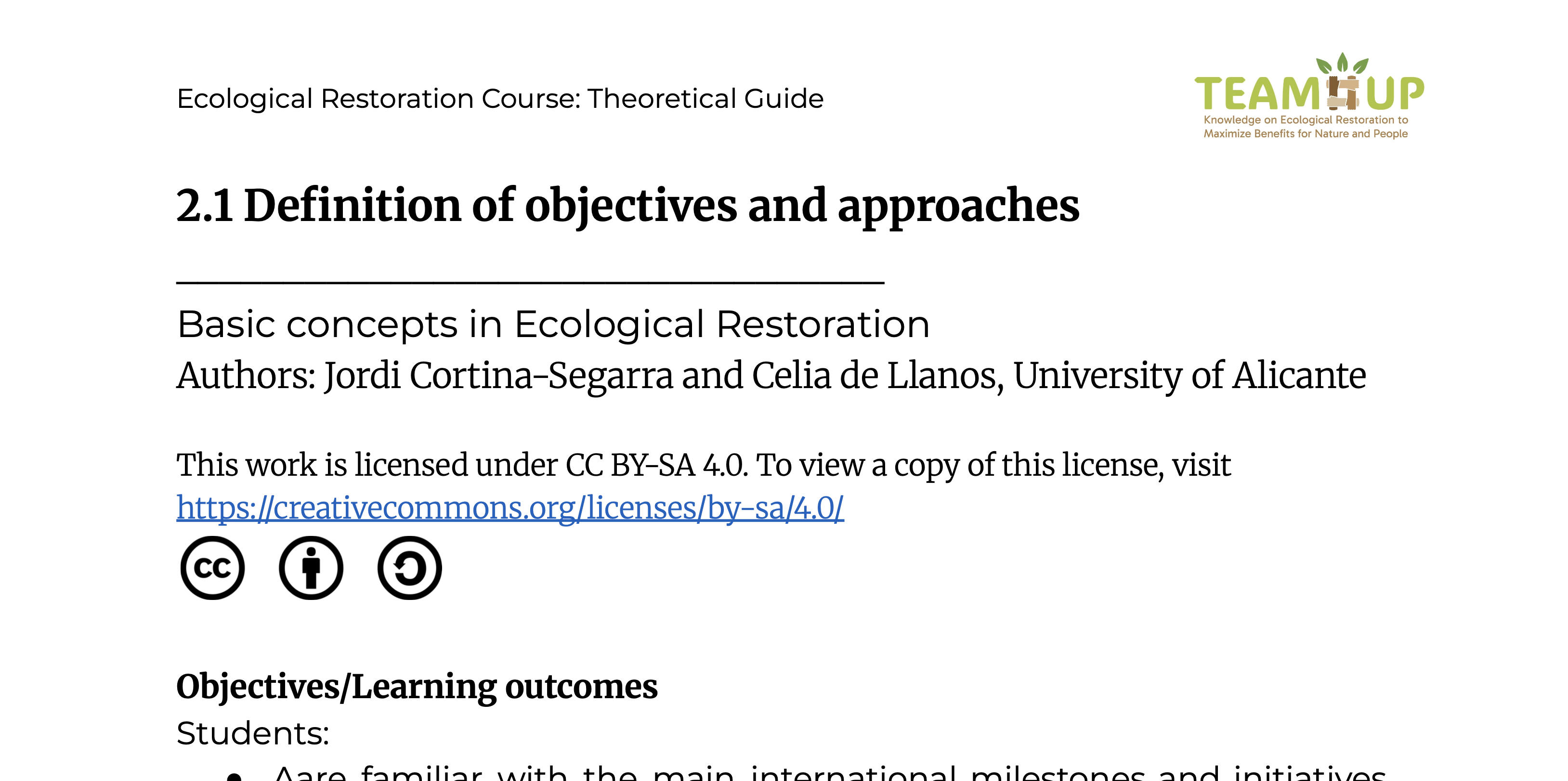 Definition of Objectives and Approaches - Theoretical Guide