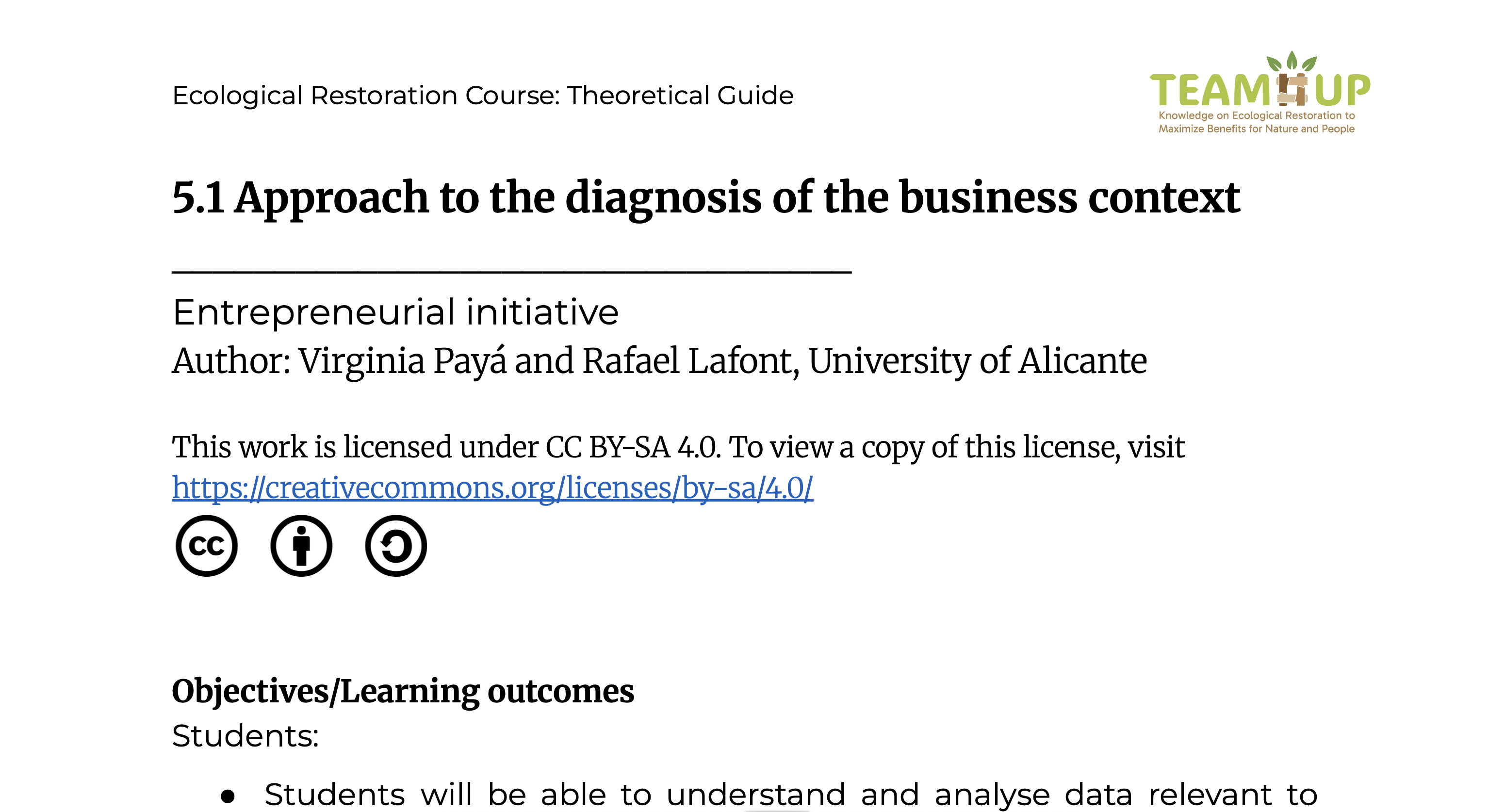 Approach to the Diagnosis of the Business Context - Theoretical Guide