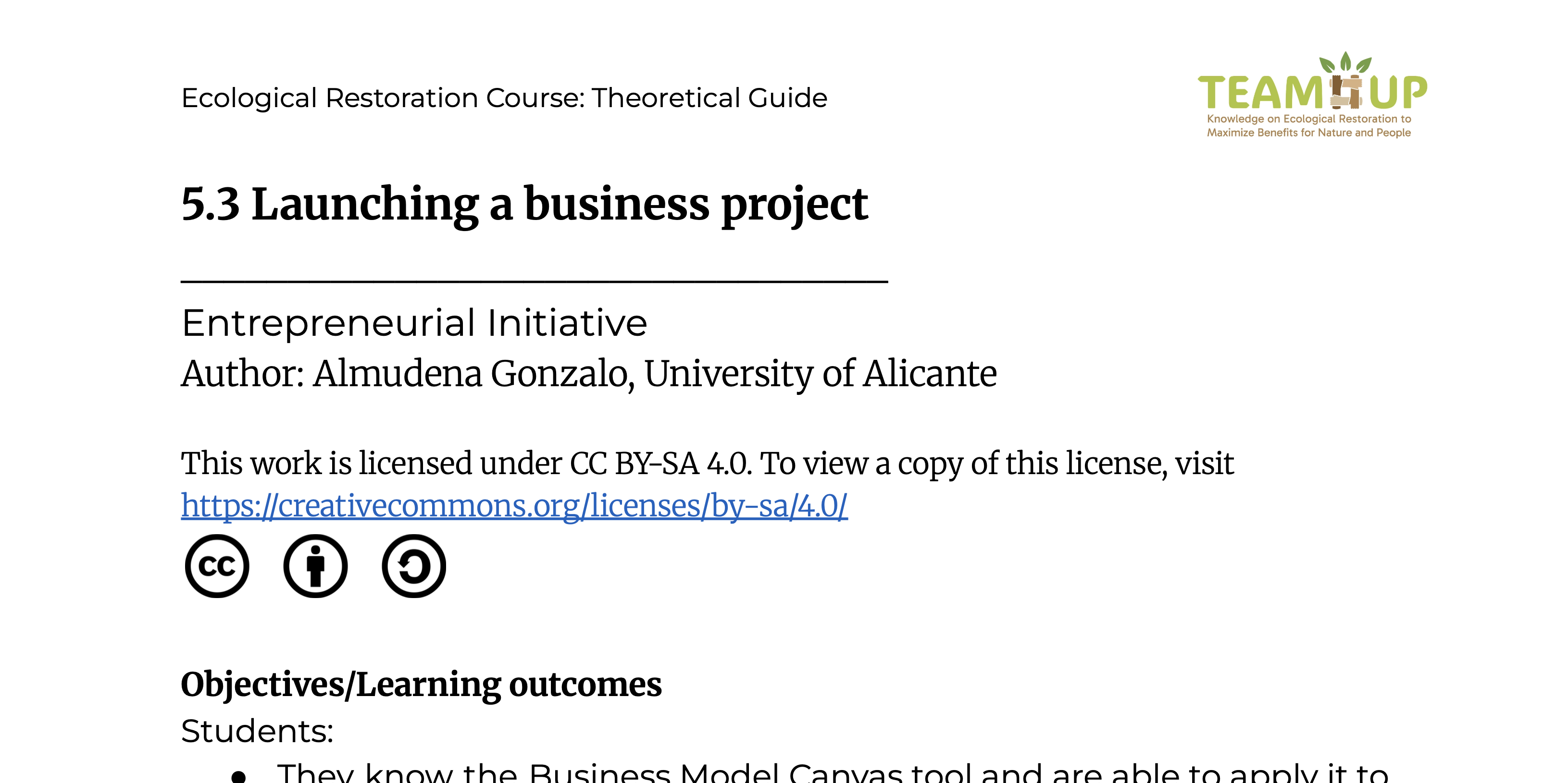 Launching a Business Project - Theoretical Guide