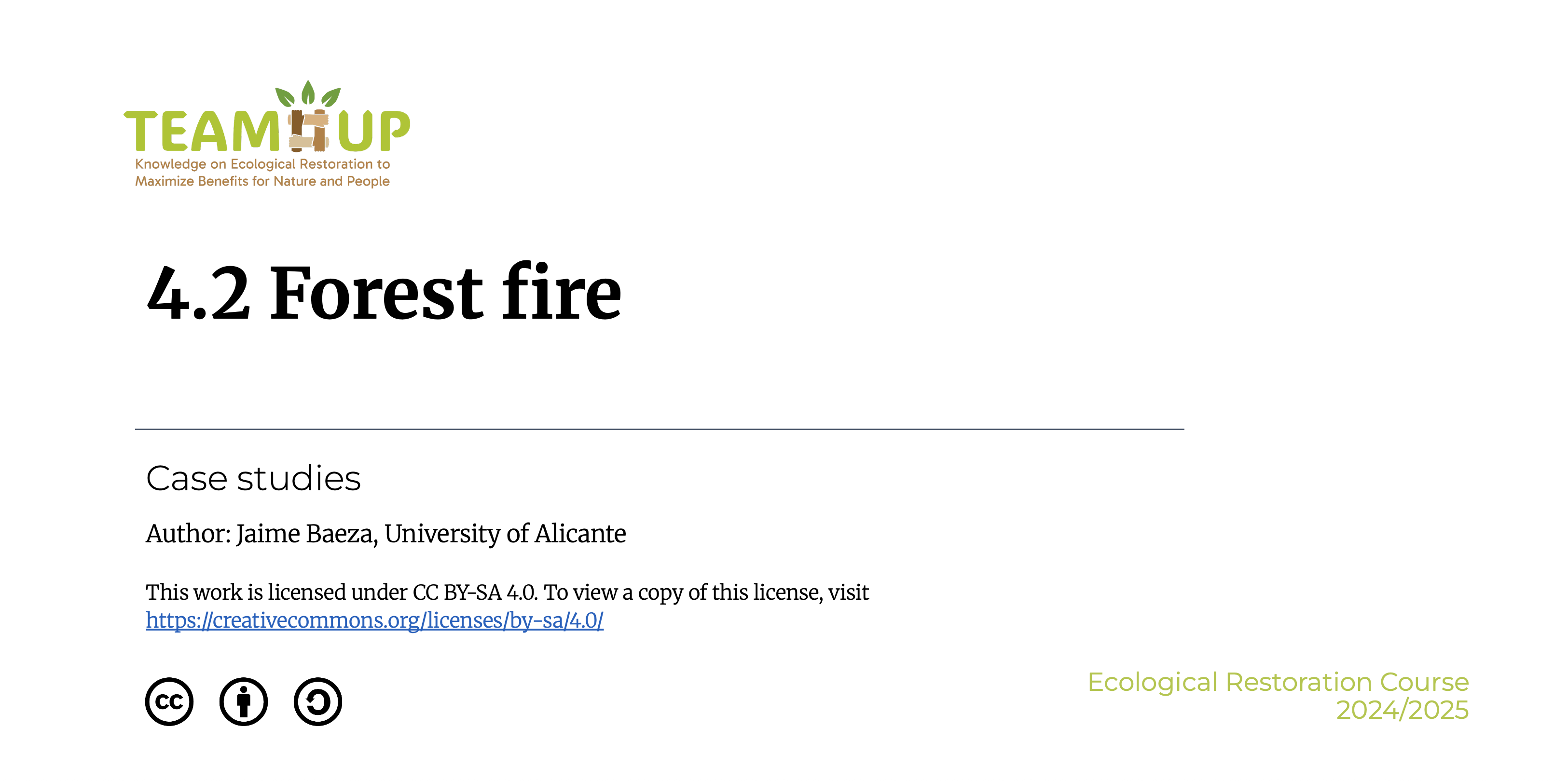 Forest Fire - Presentation