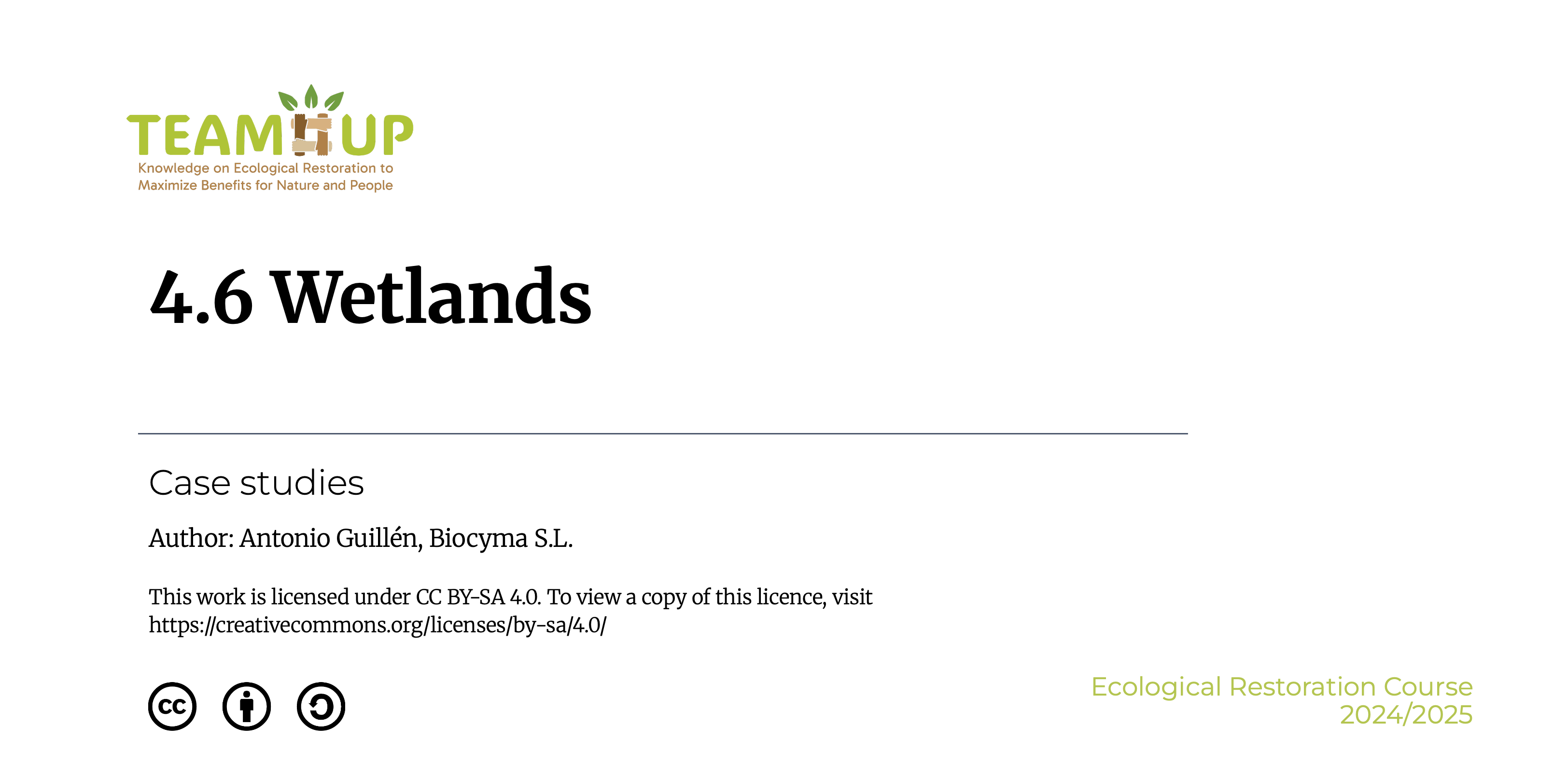 Wetlands - Presentation