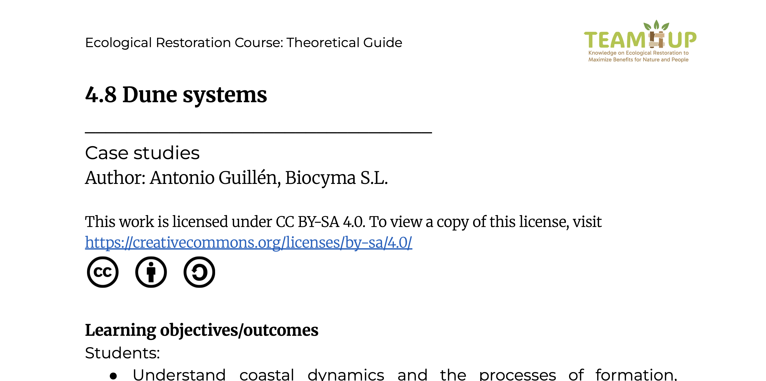 Dune Systems - Theoretical Guide