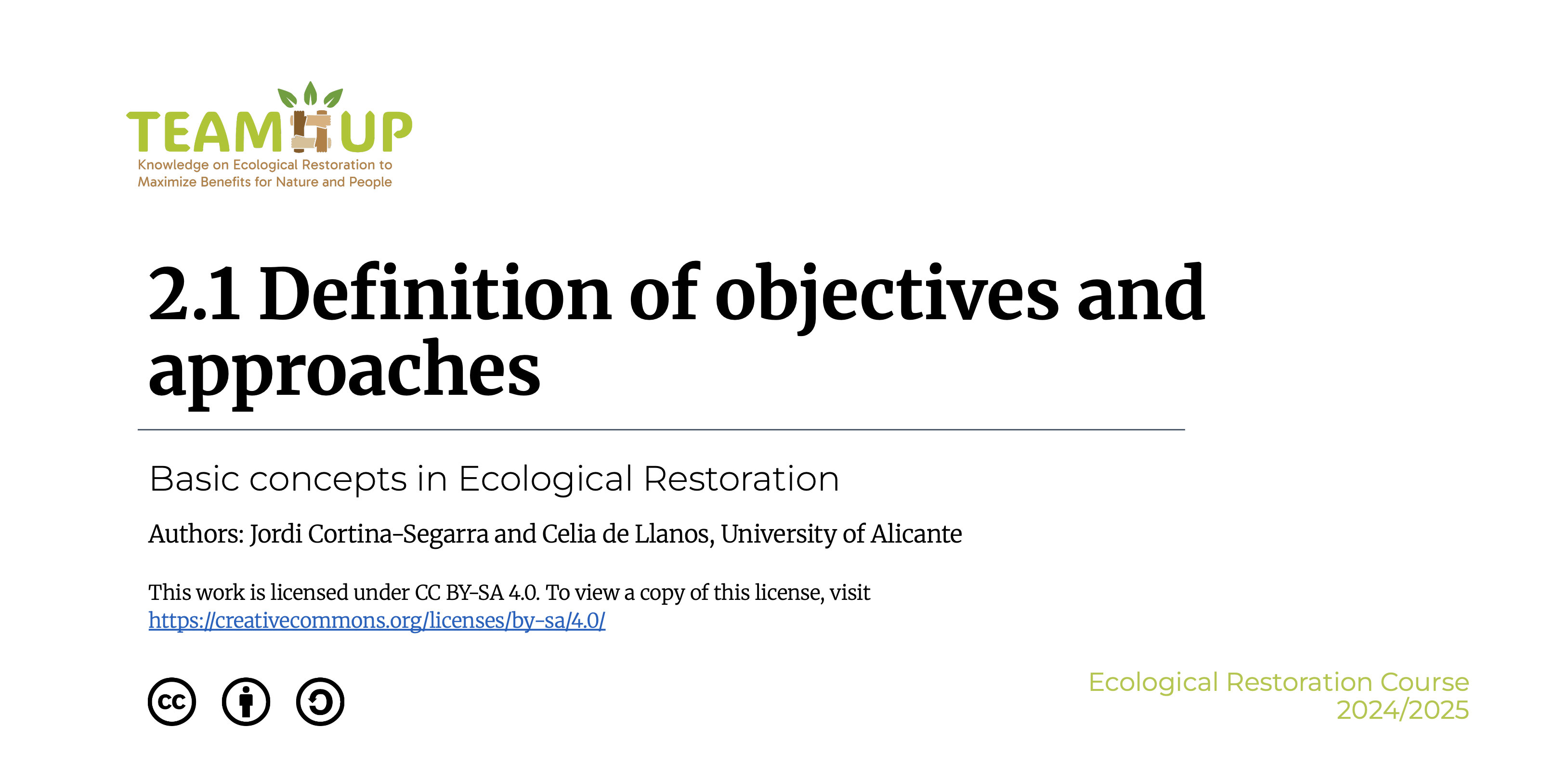 Definition of Objectives and Approaches - Presentation