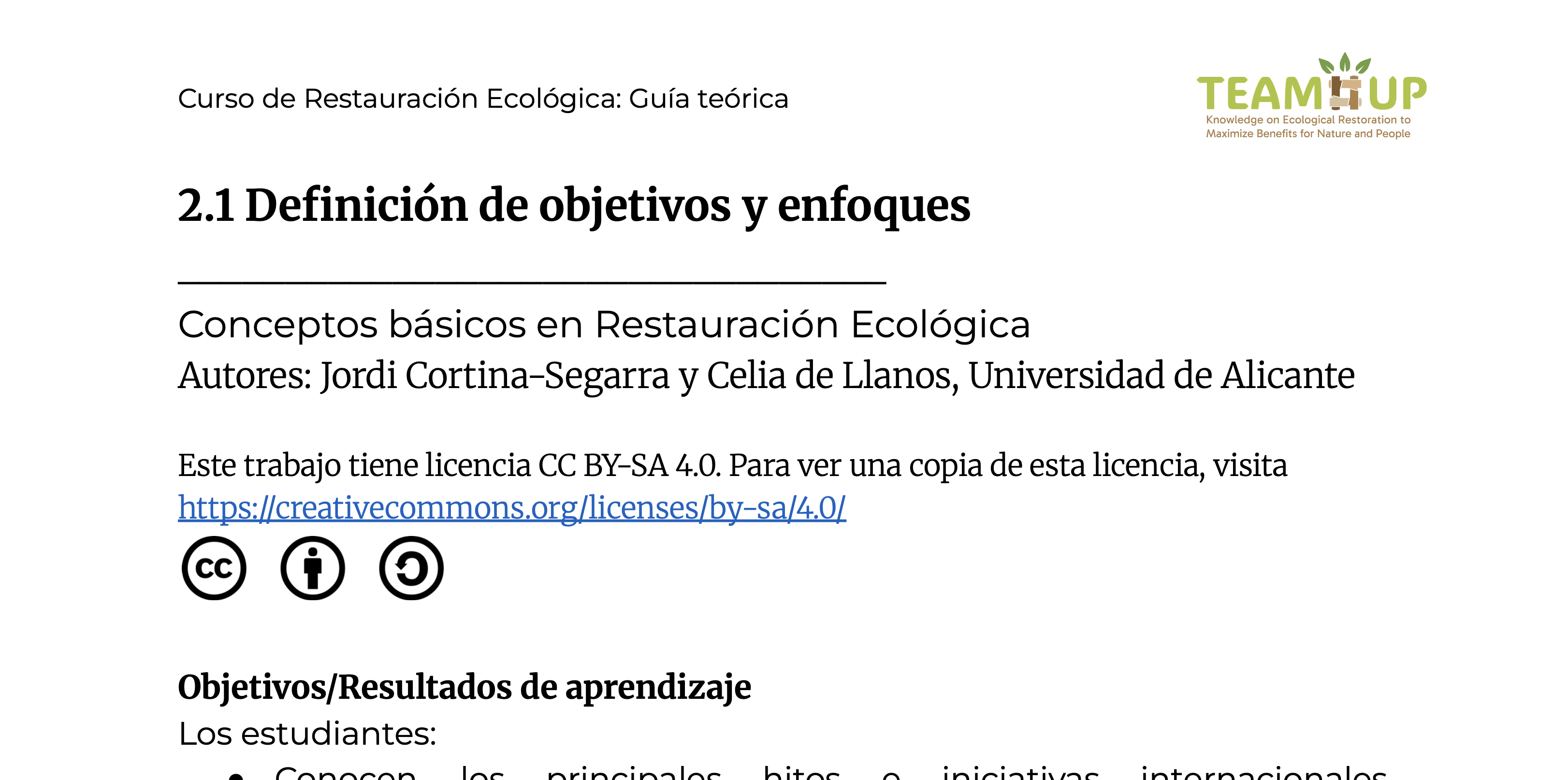 Definición de objetivos y enfoques - Guía teórica