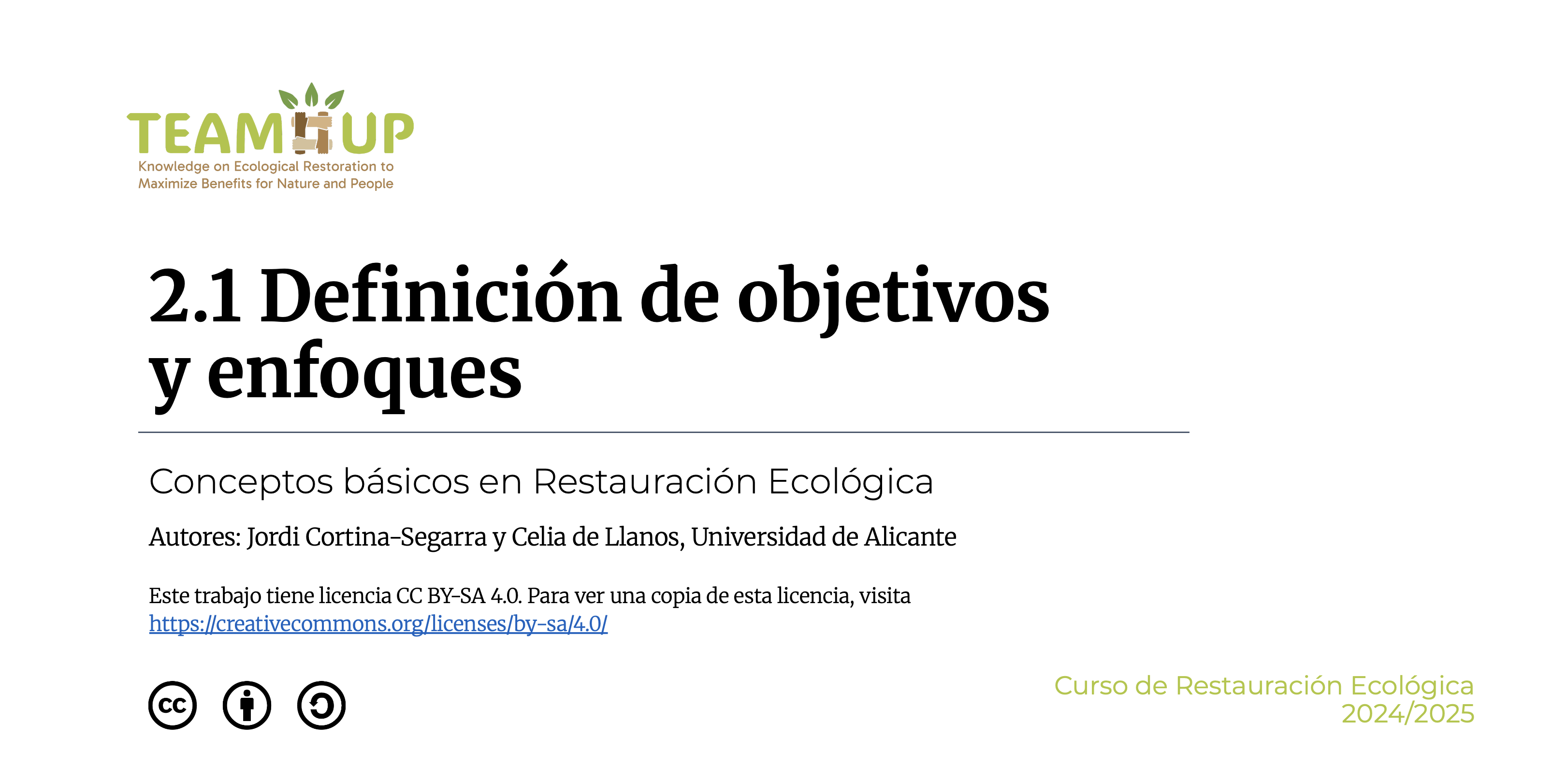 Definición de objetivos y enfoques - Presentación