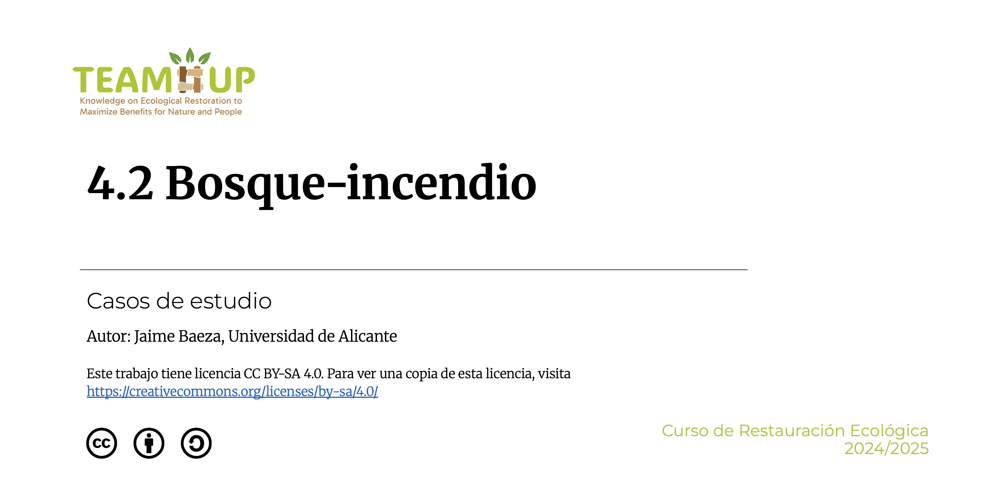 Bosque-incendio - Presentación