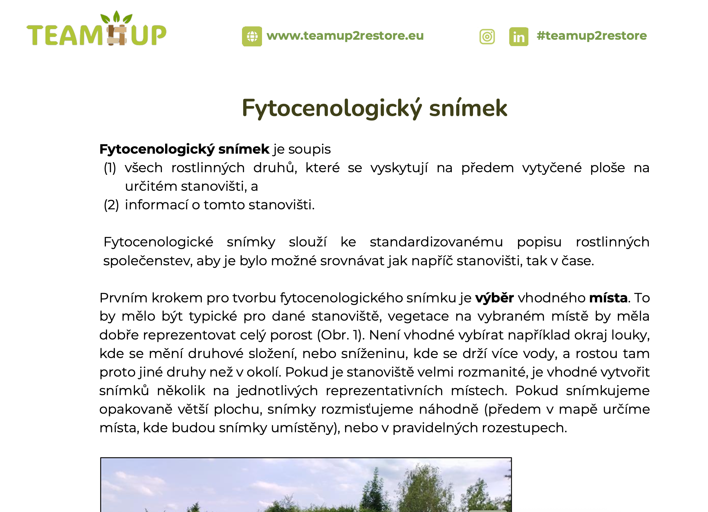 Fytocenologický snímek