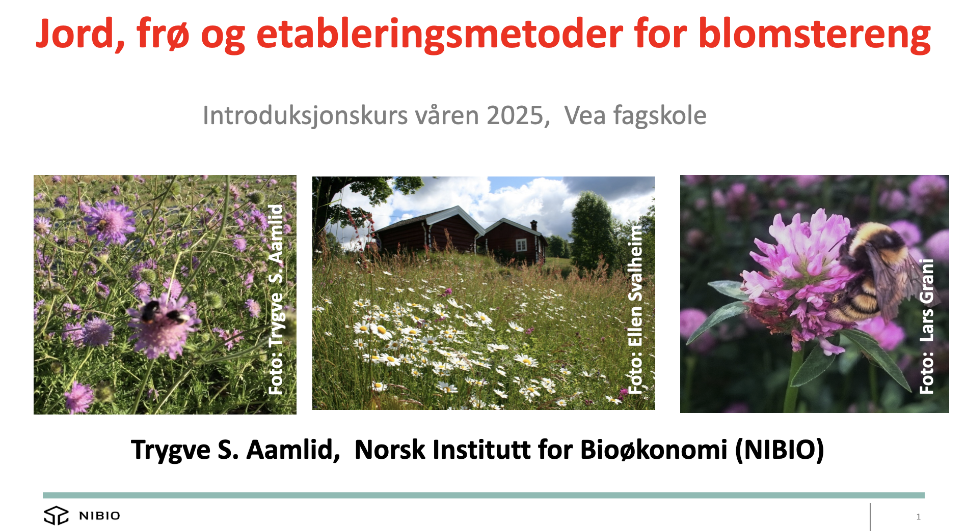 Jord, frø og etableringsmetoder for blomstereng