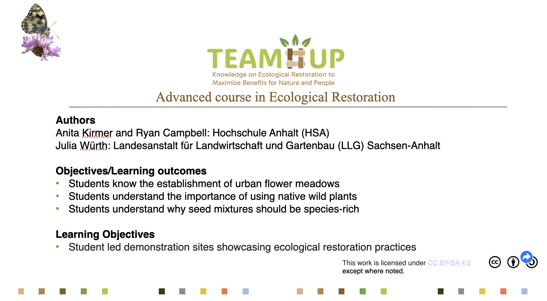 Establishing Urban Flower Meadows