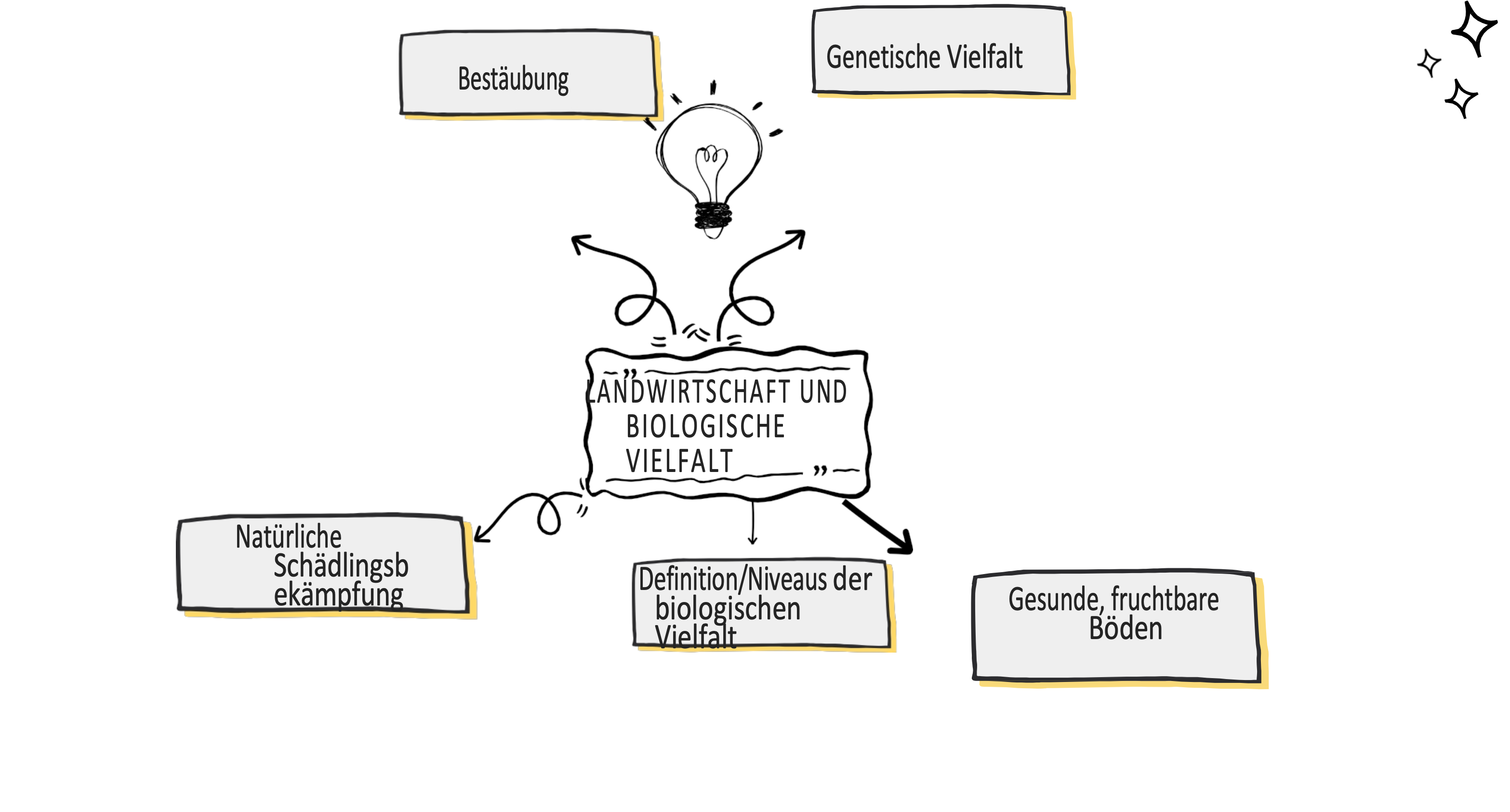 Konzeptkarte Landwirtschaft Biodiversität - leer